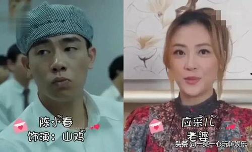 山鸡老婆爆料视频大全,揭秘娱乐圈背后的真实故事