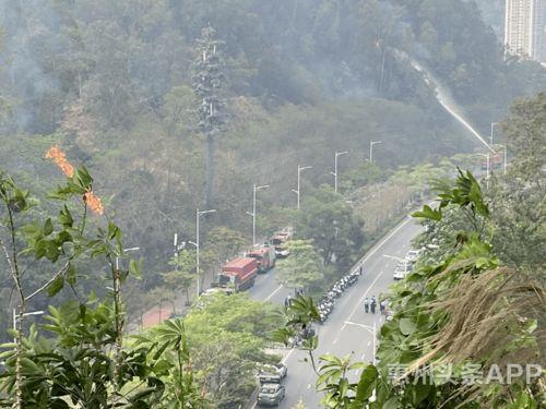 南安东大烧山最新爆料,揭秘神秘古墓背后的历史之谜 第2张 南安东大烧山最新爆料,揭秘神秘古墓背后的历史之谜 第2张