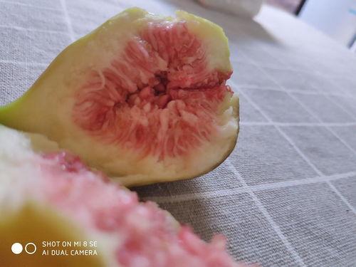 娱乐吃瓜酱密集恐惧症,娱乐吃瓜酱的惊悚之旅 第2张 娱乐吃瓜酱密集恐惧症,娱乐吃瓜酱的惊悚之旅 第2张